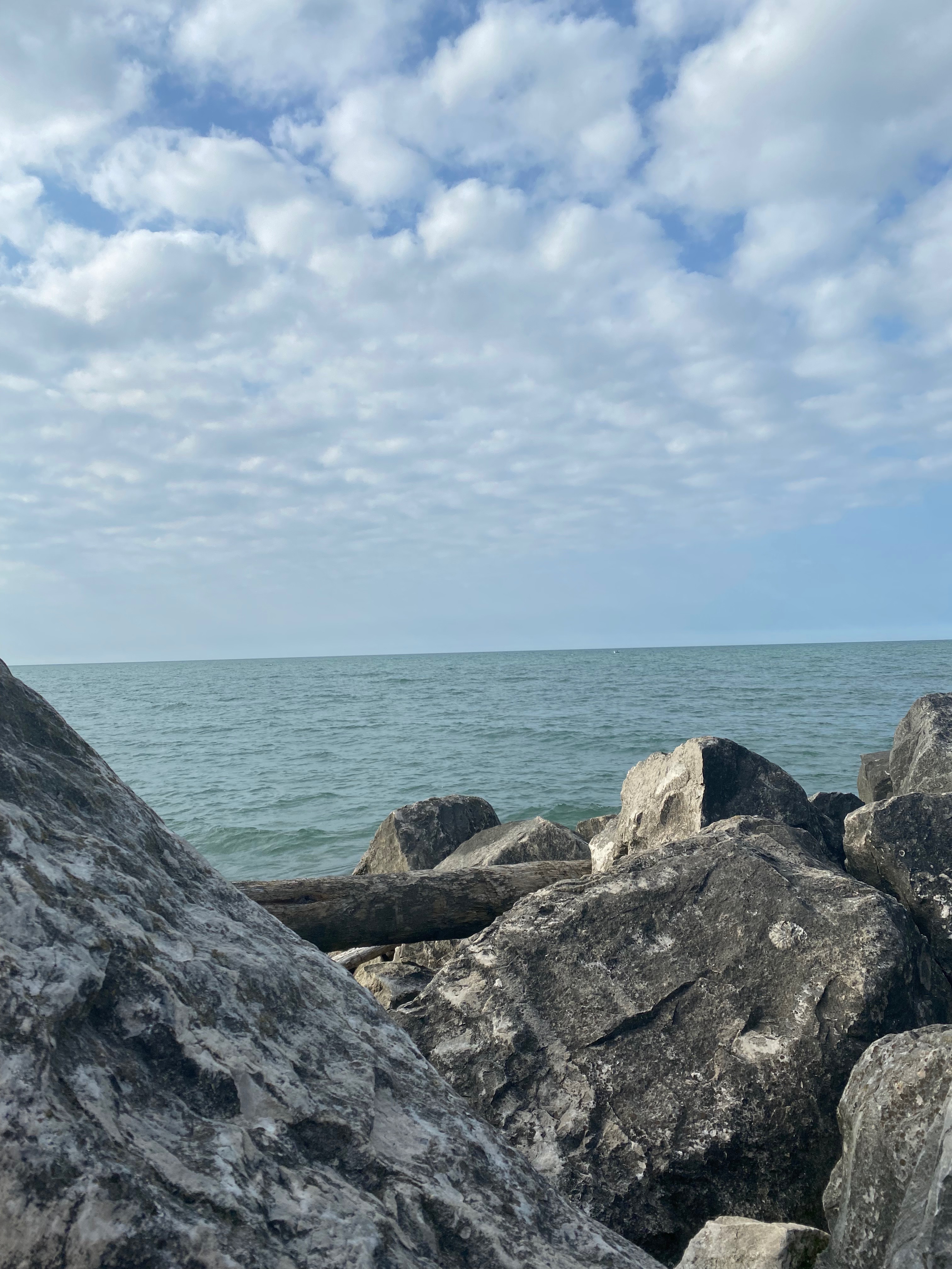 Elizabeth beuno banner image