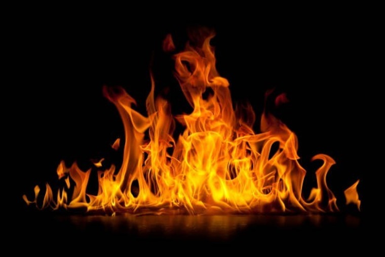 ellaaa_xo banner image
