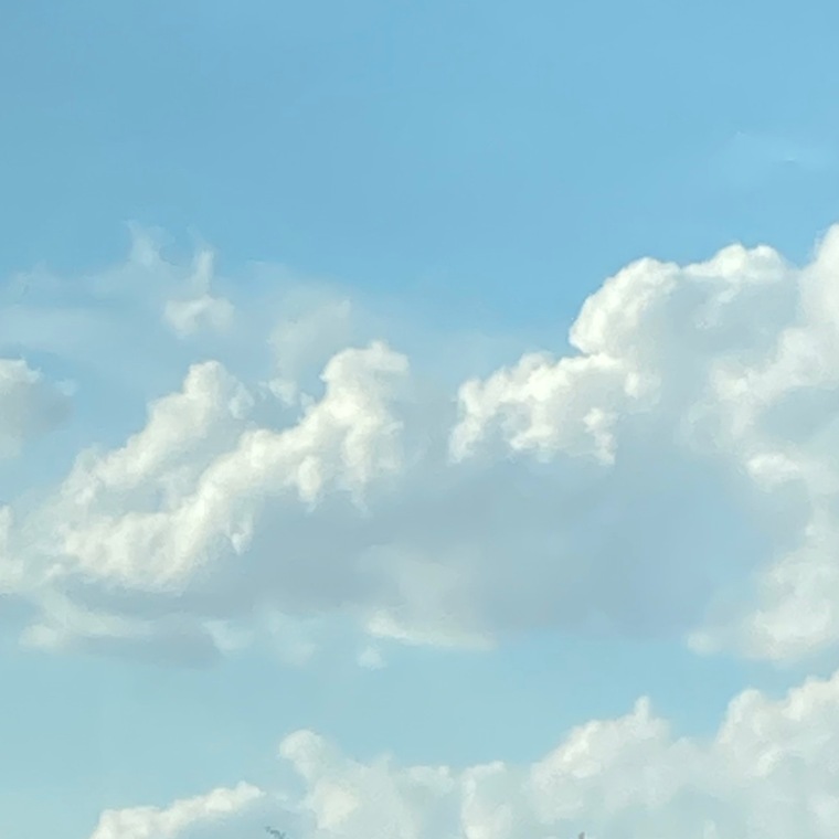 El banner image