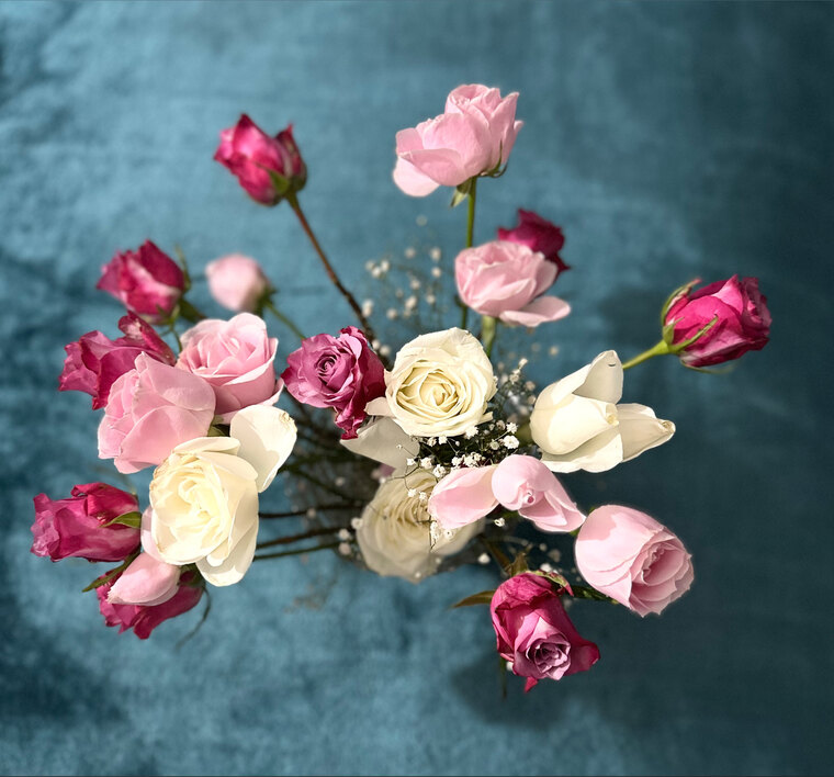 🩷👗 Elizabeth Rose 🥰🌼 cover image