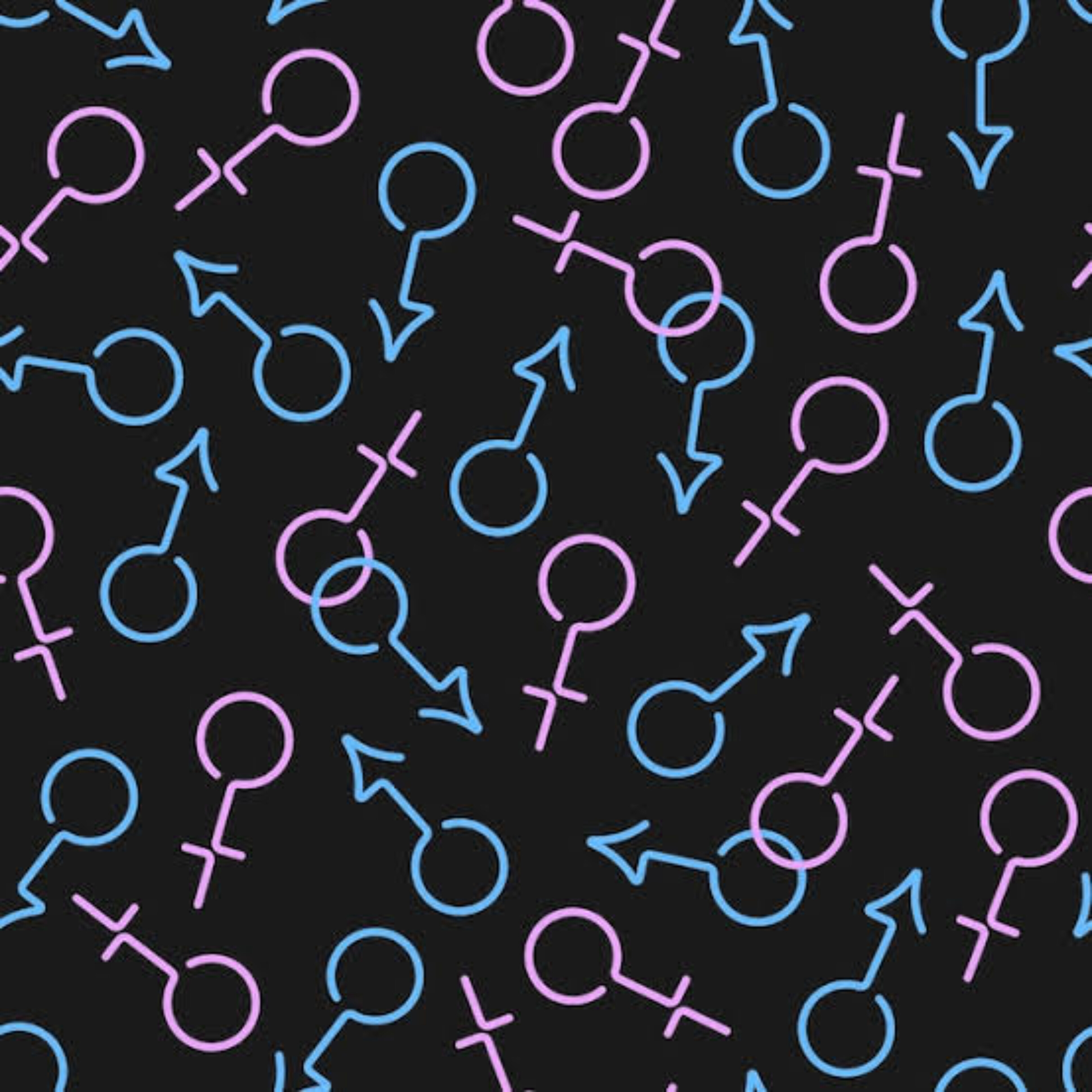 EllasPlus1π banner image