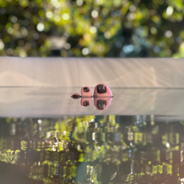 elle banner image
