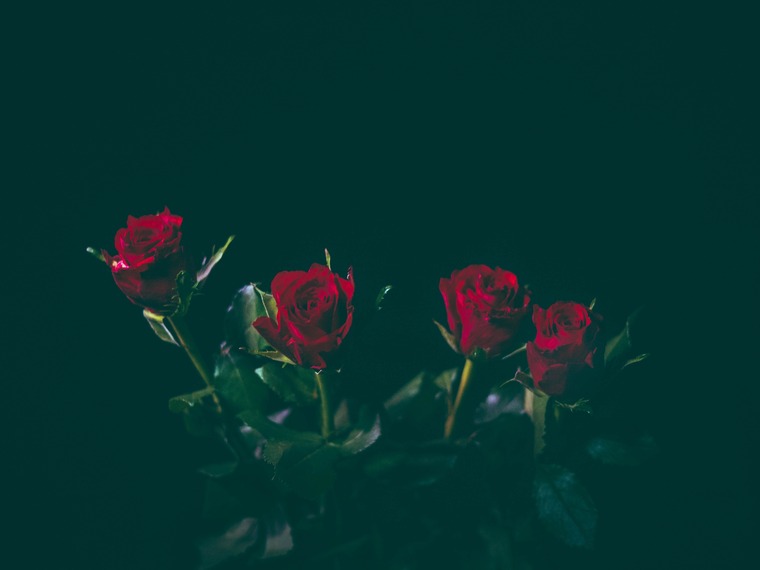 Ellora Rose banner image