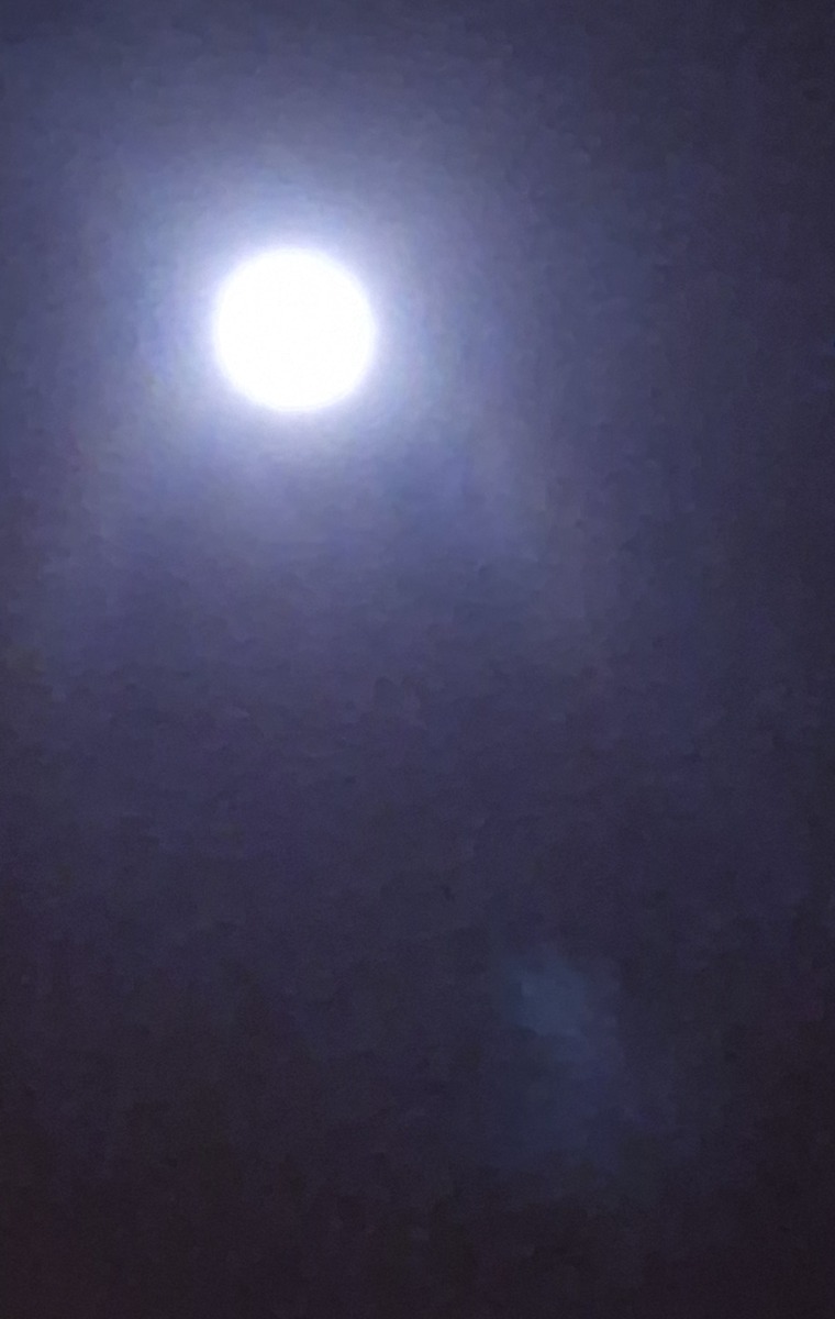 Lúthien Elle banner image