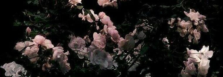 Elle Satin banner image