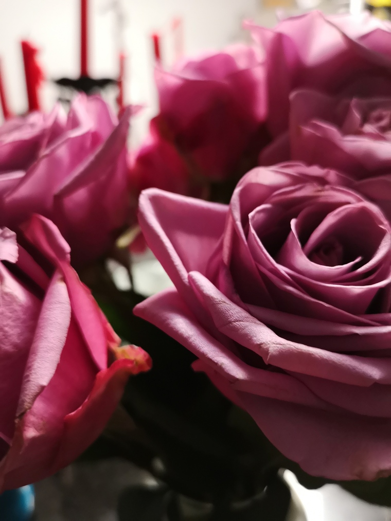 Ellie Addams banner image