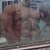 El punisher avatar