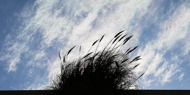 Michel banner image