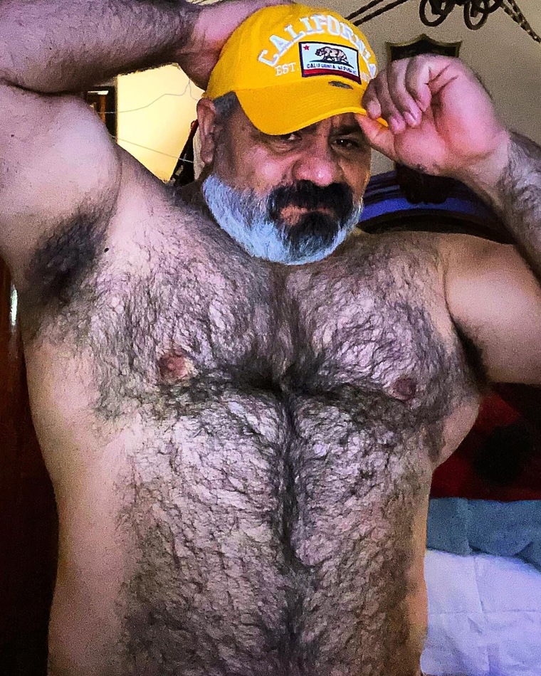 EL SÚPER OSO ADRIAN cover image