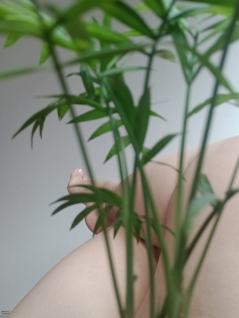 Tamy Eluneson cover image