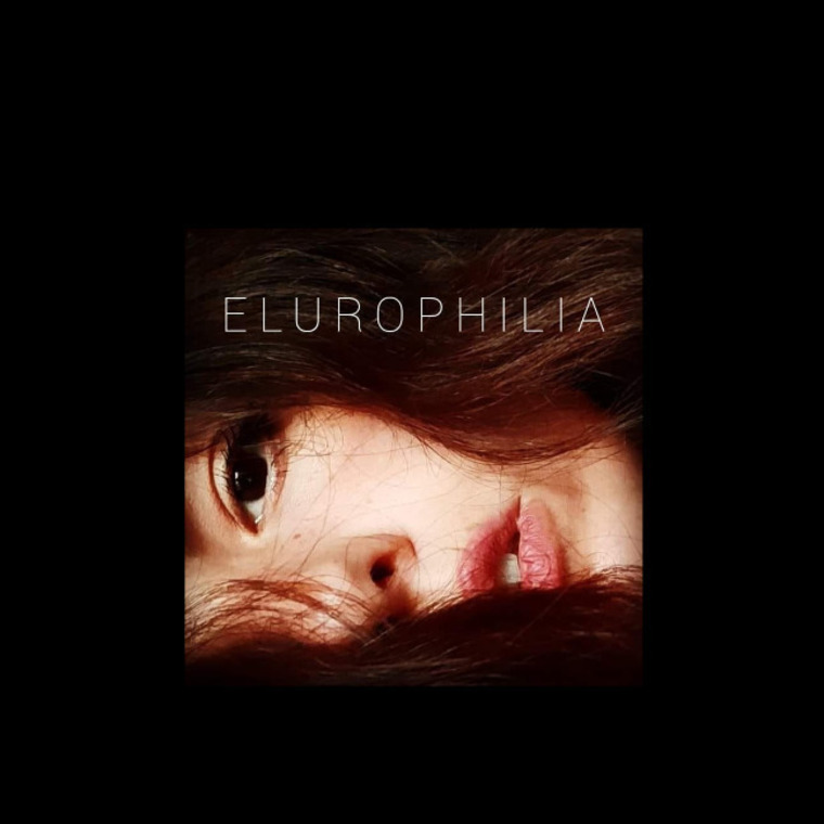 Elurophilia banner image