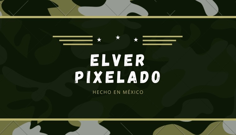 𝐄𝐥𝐯𝐞𝐫 𝐏𝐢𝐱𝐞𝐥𝐚𝐝𝐨 💂‍♂️ cover image