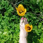 Elviafeet avatar