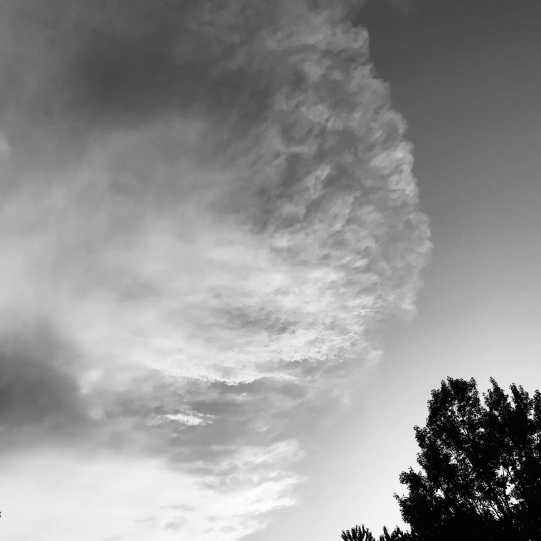 Emerson Bolt banner image
