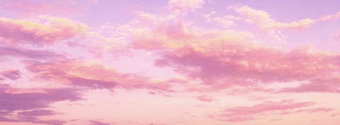 Emilee cover image
