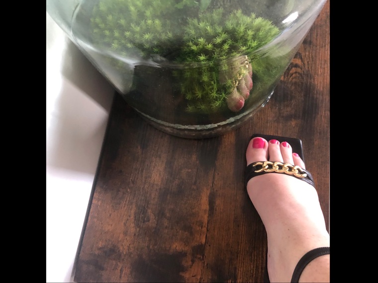 Emilie Feets banner image