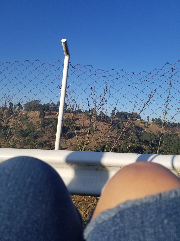 Emily cover image