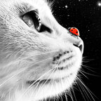 Emily Sex avatar