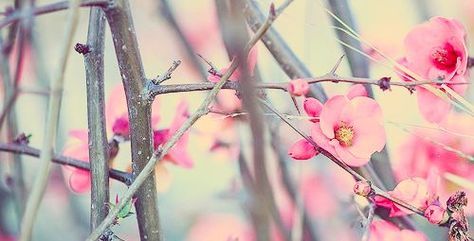 Emi banner image