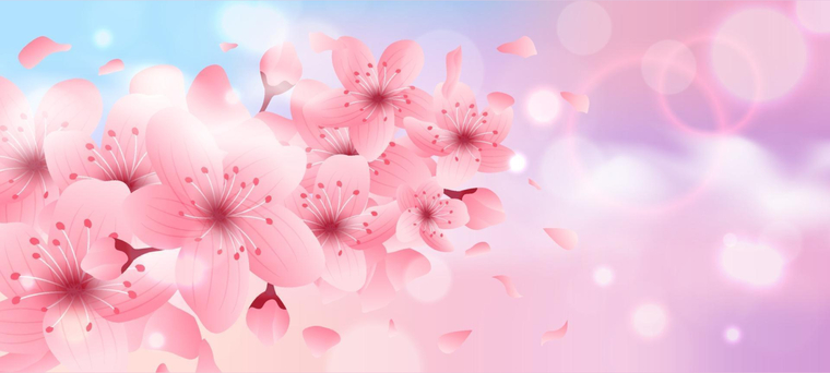 🌸Emma Blossoms🌸 cover image