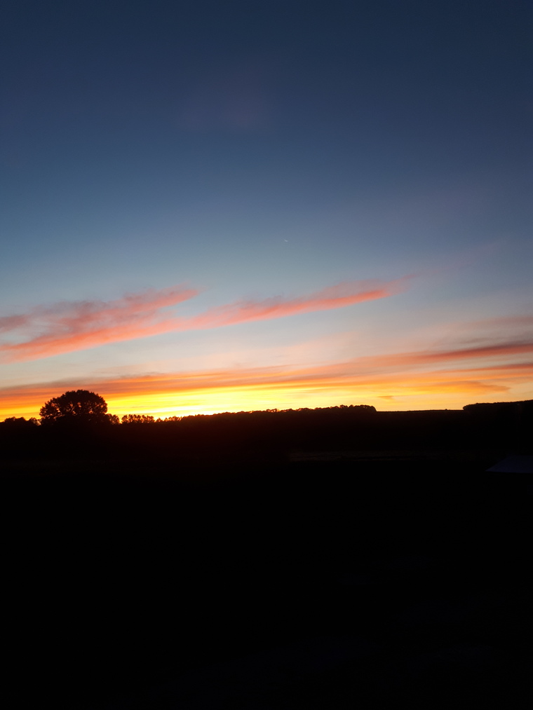 Emmajane banner image