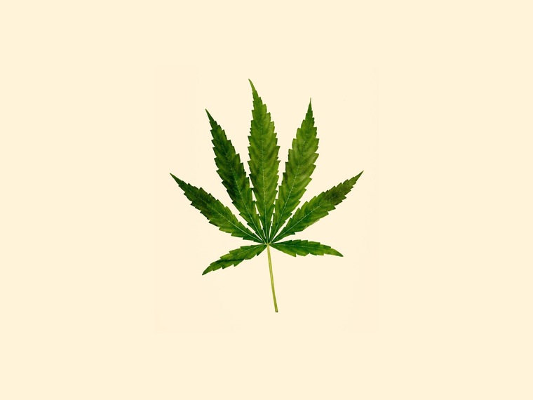 Emmie Marz banner image