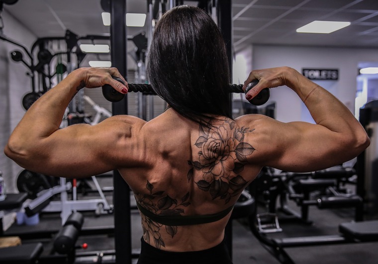 Gym Empress cover image