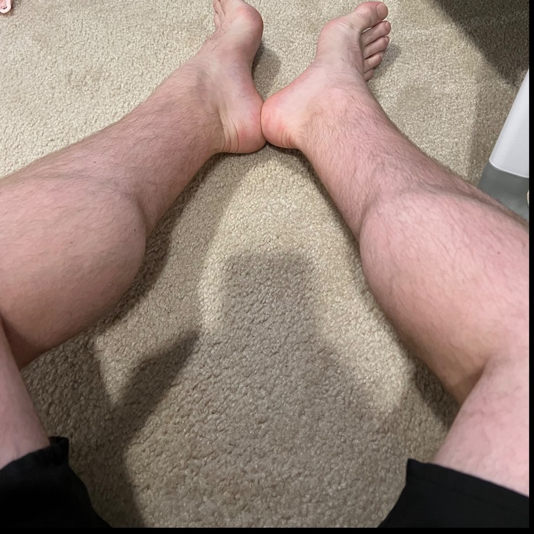English Calves cover image