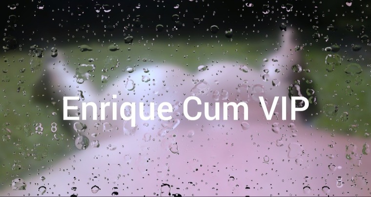 Enrique's VIP banner image