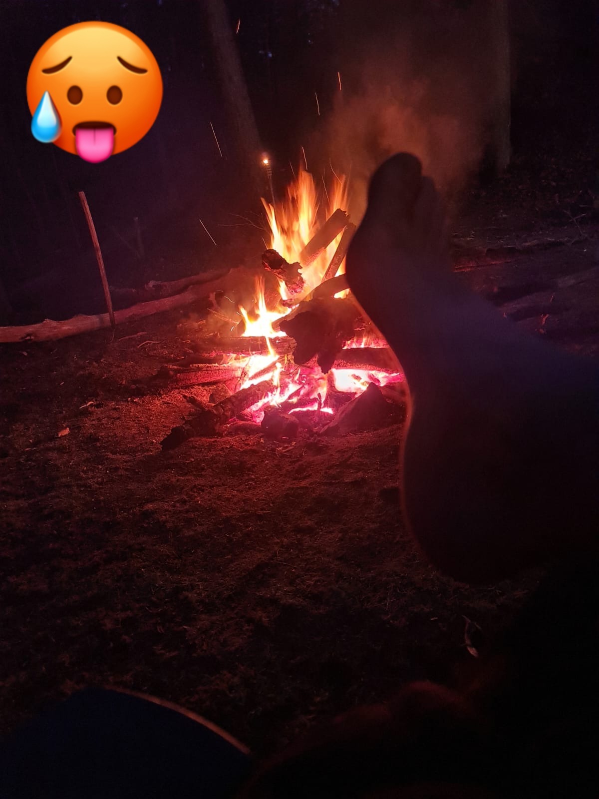 Environmental feet banner image