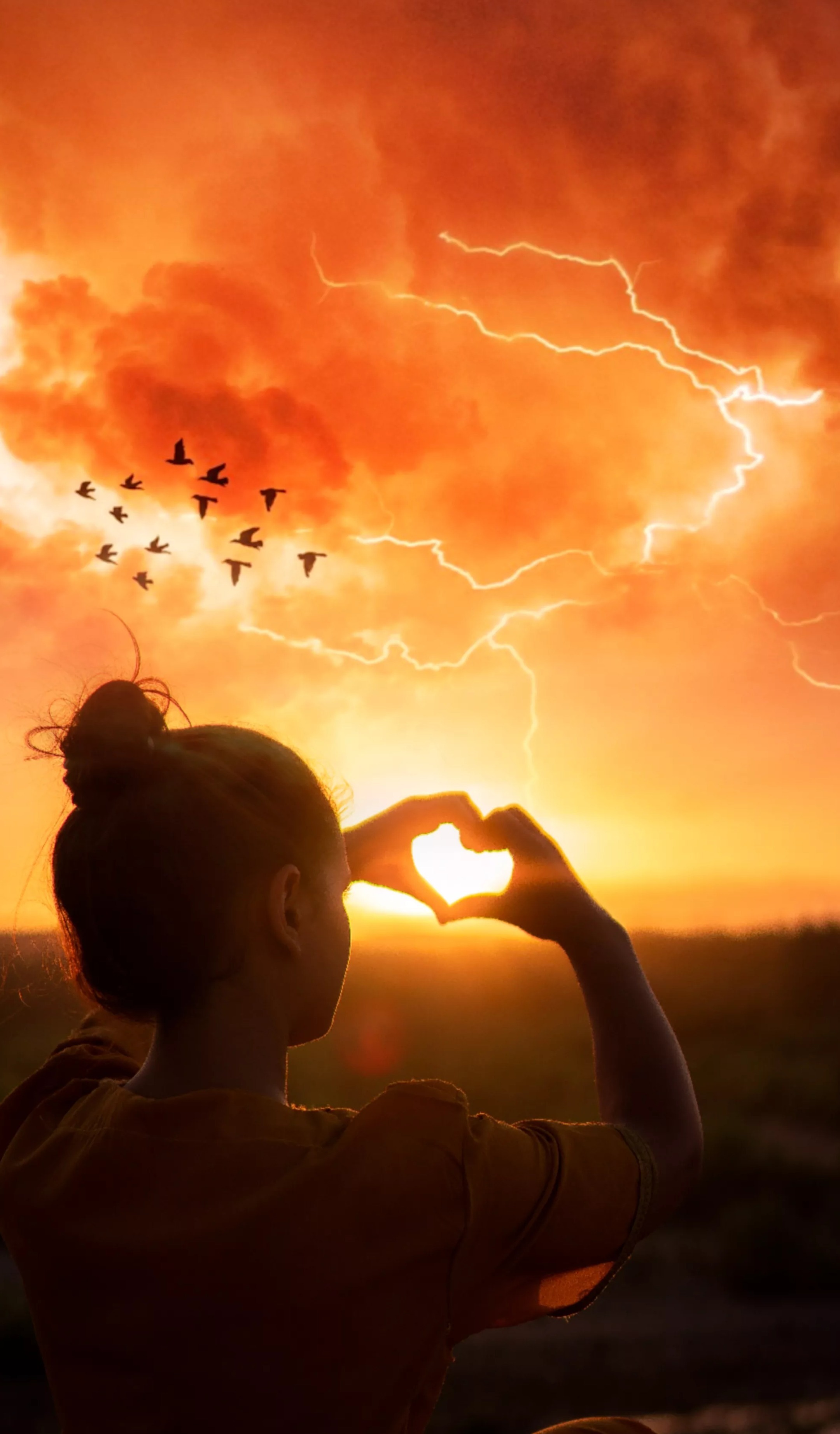Beautiful Disaster banner image