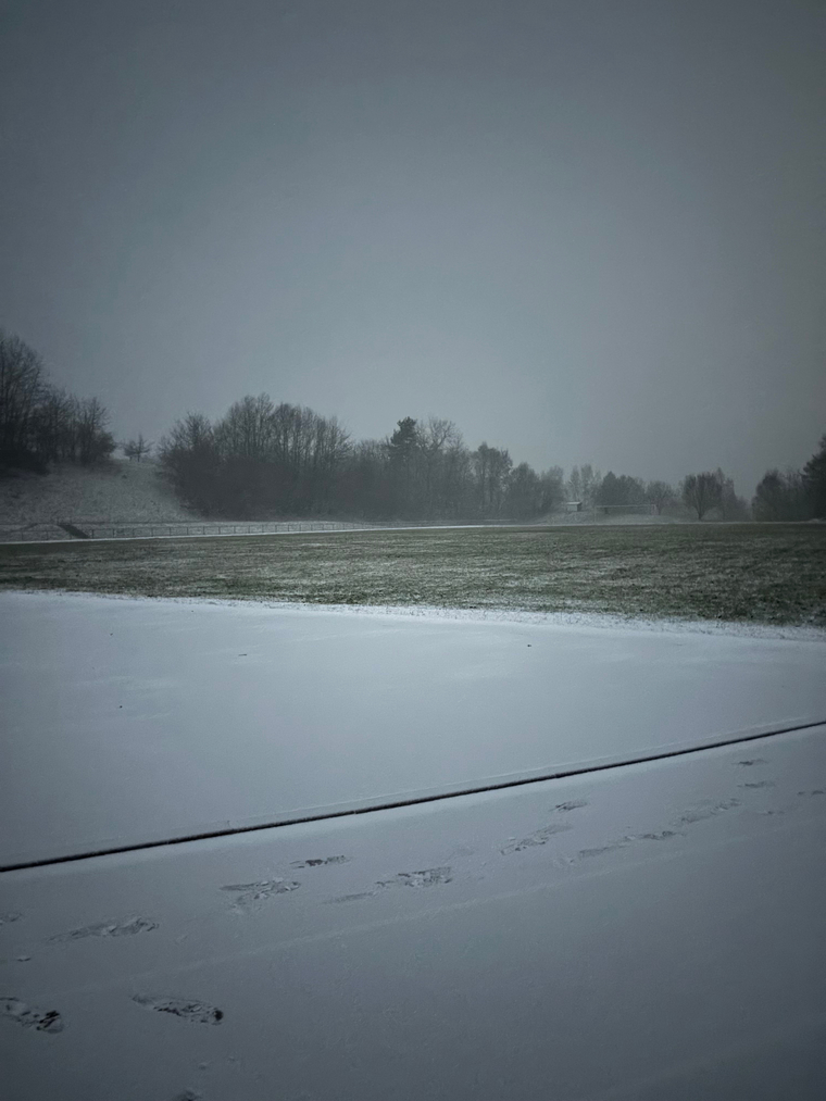 Enzo banner image