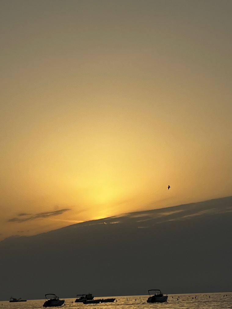 er84 banner image