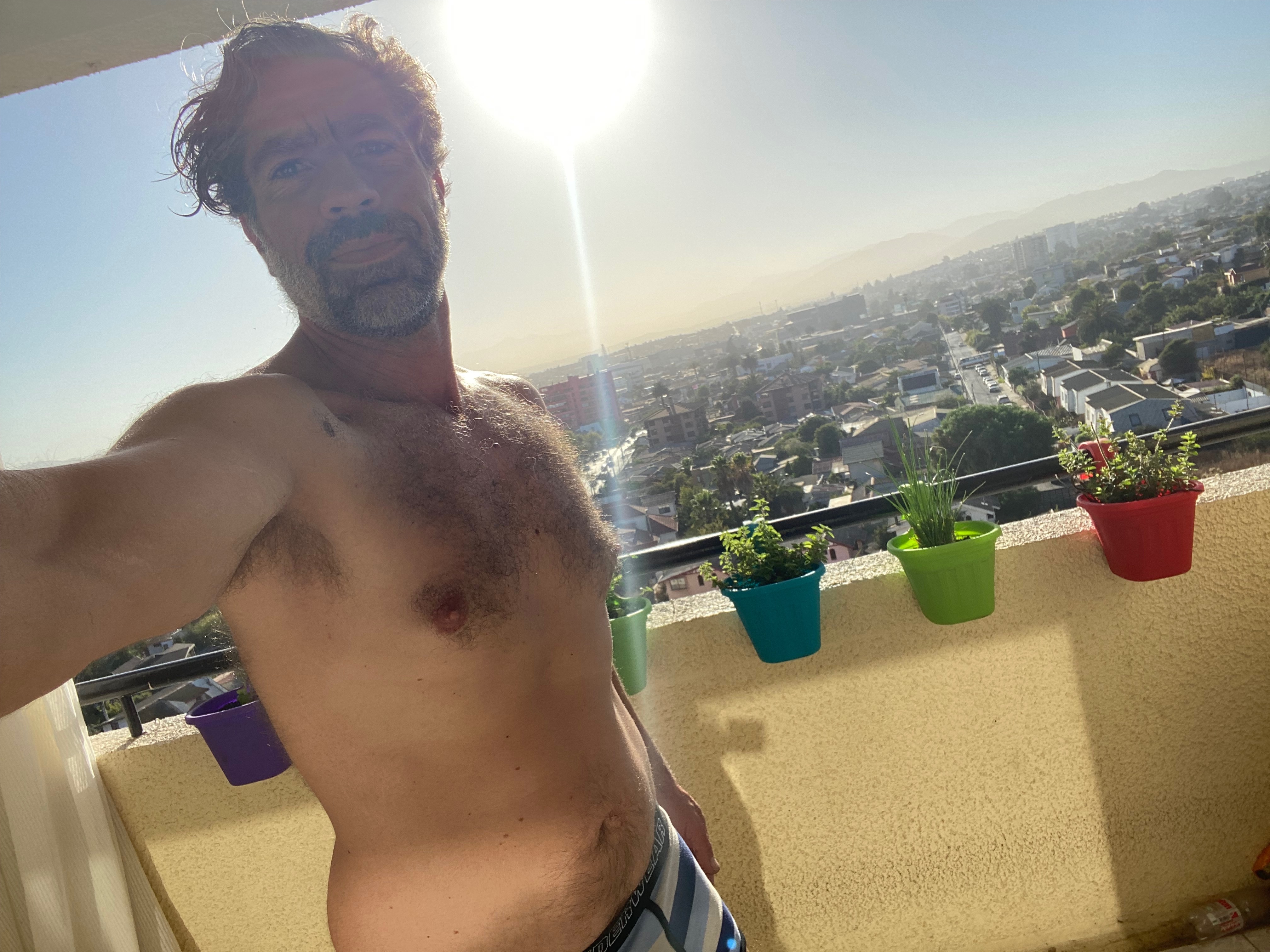 Erecto Deleito banner image