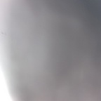 u27640424 avatar