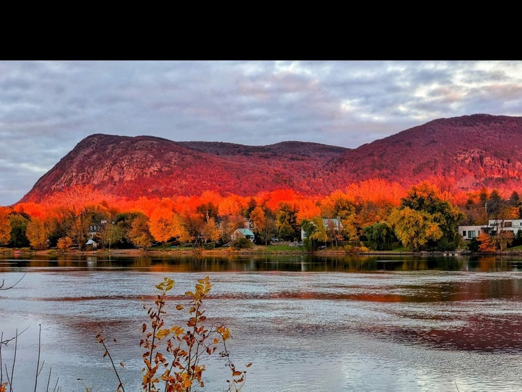 Erie cover image