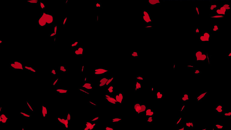 erika Romero cover image