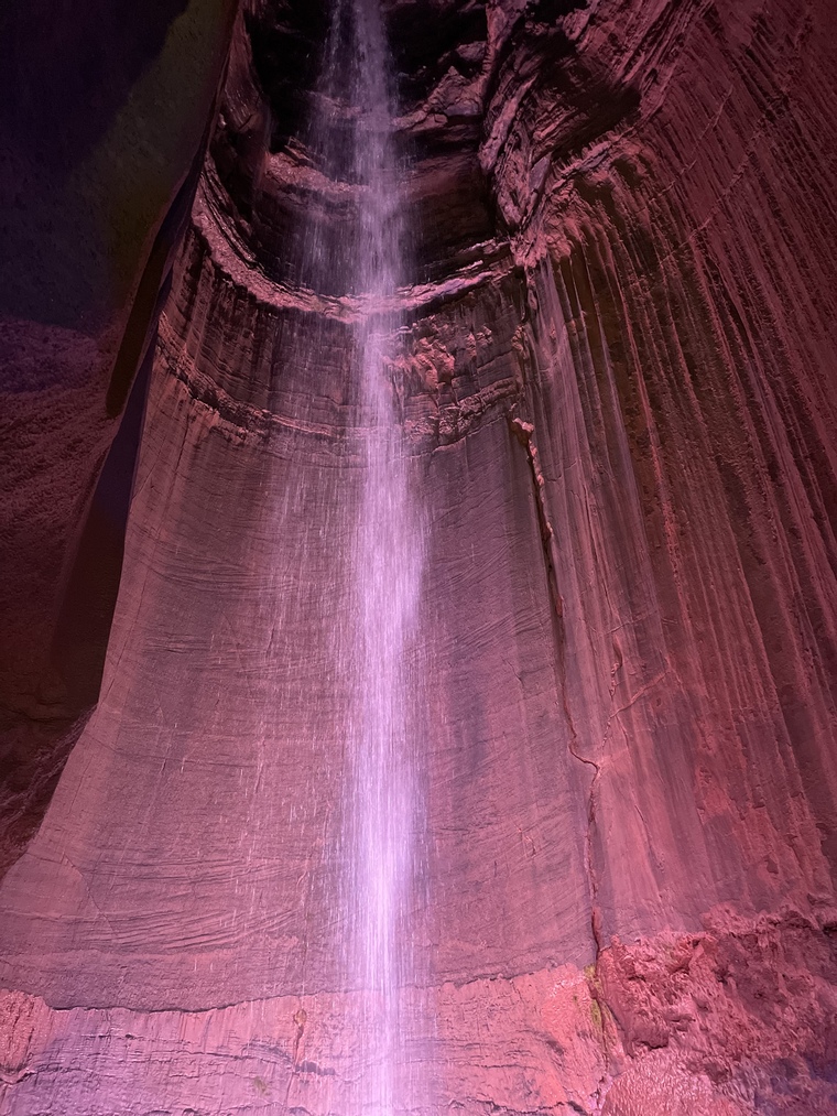 Erin cover image