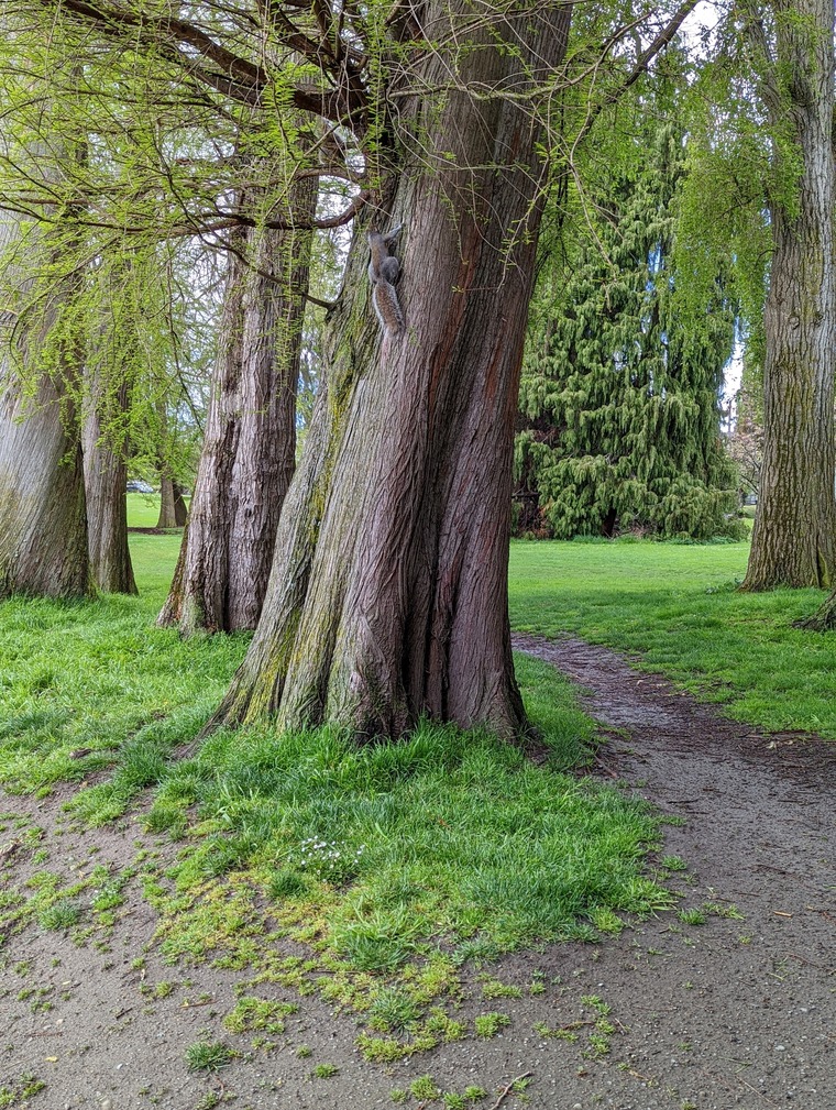 ErmaWoodland banner image