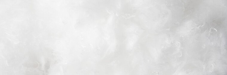 Sanne banner image