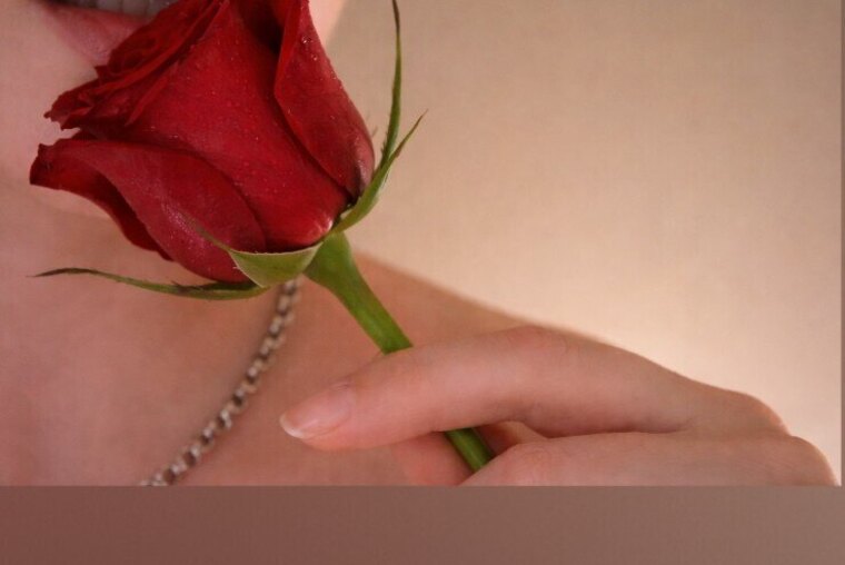 Elizabeth Rose 🌹 cover image