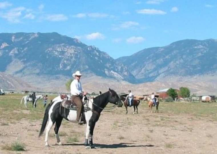 Huckleberry cover image