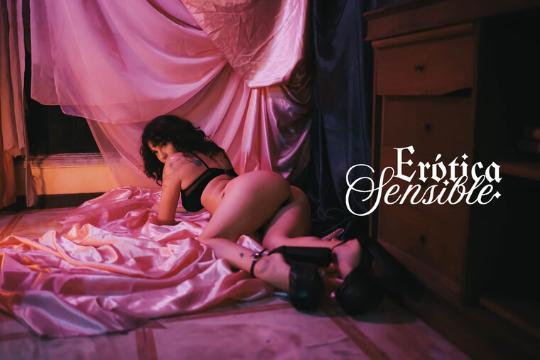 Erótica ♡ Sensible cover image