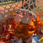 Footsietootsiefun avatar