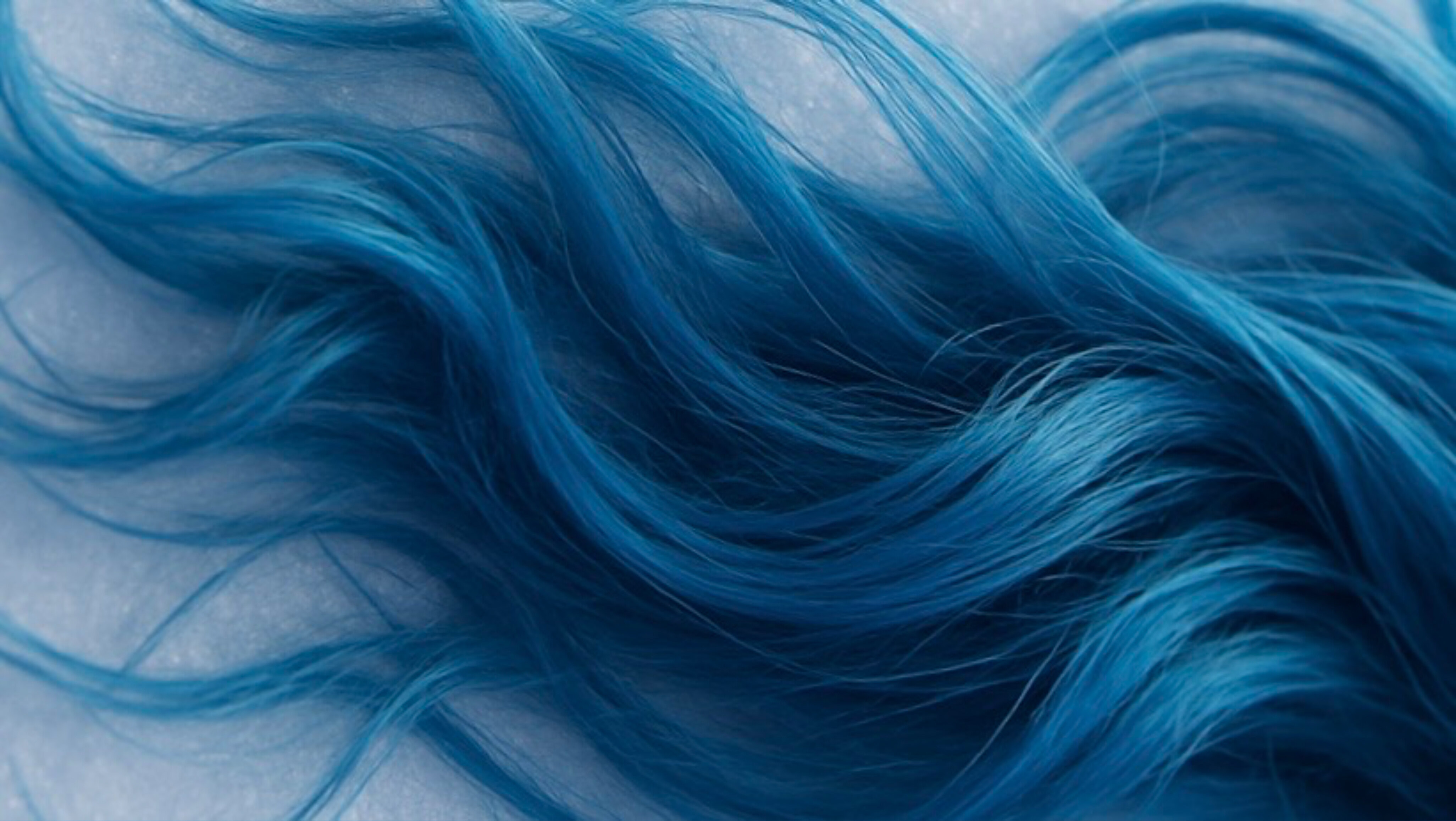 Eryie banner image
