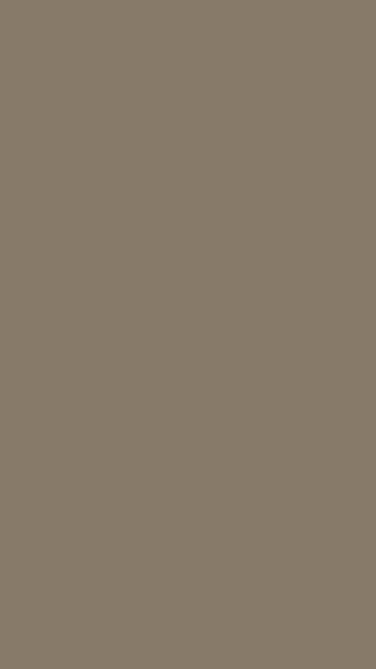 erza wang banner image