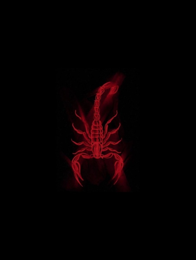 Escorpión banner image