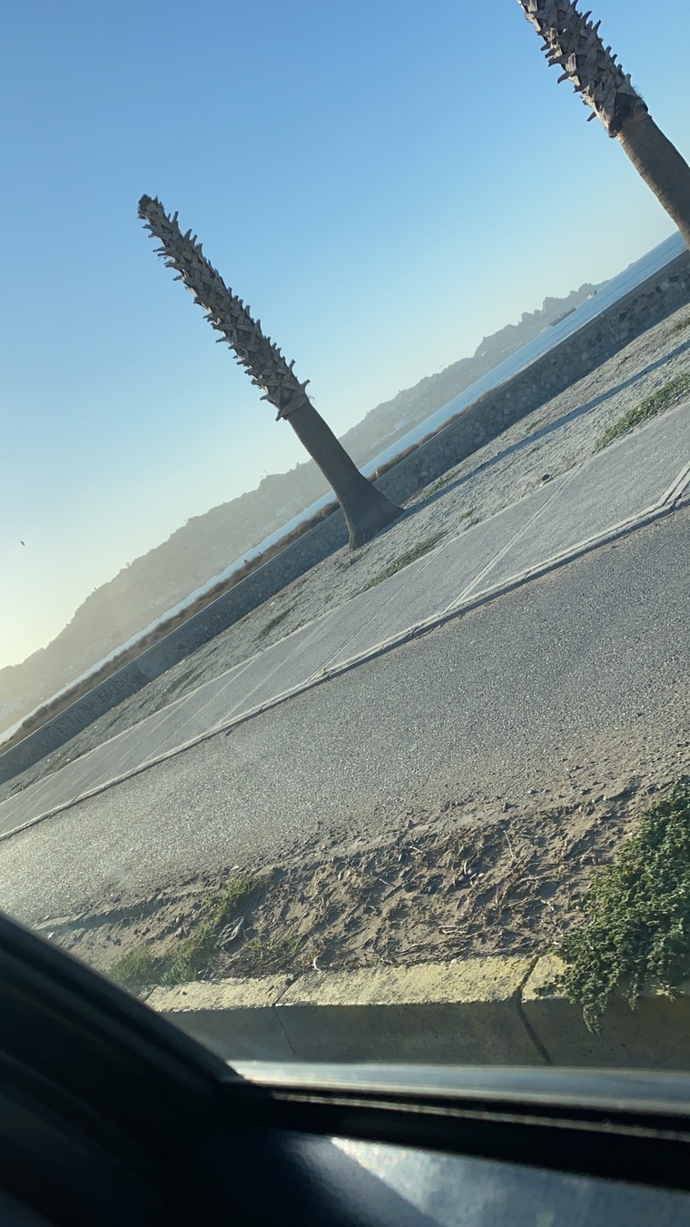 F cover image