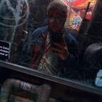 WhiteLatino avatar