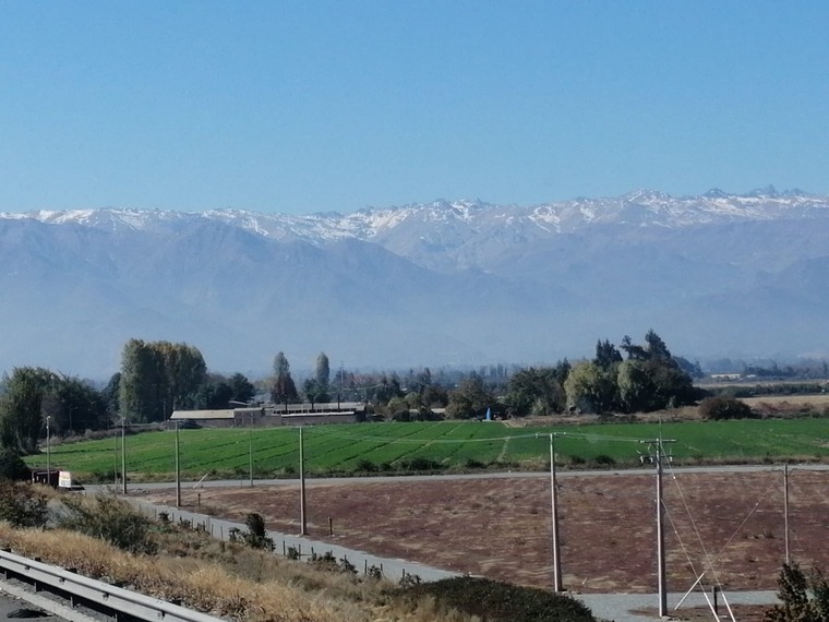 Estefandrer banner image